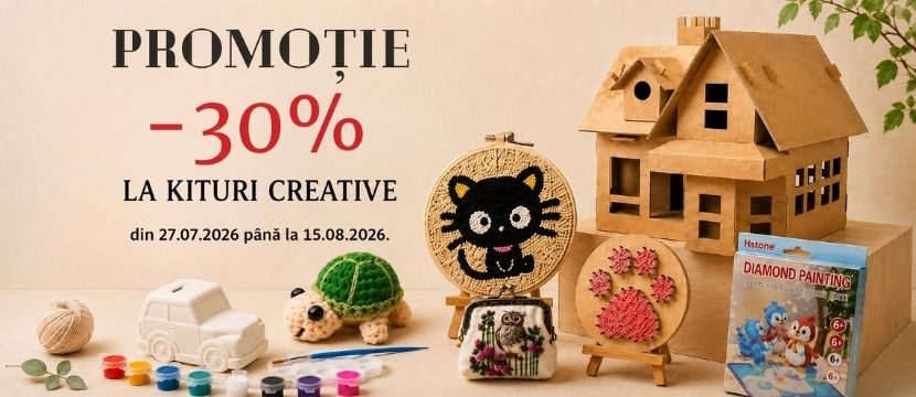 Promoții Seturi creative DIY