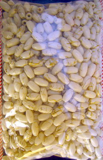Margele aur fir   cilindru oval 8 mm alb -50 grame
