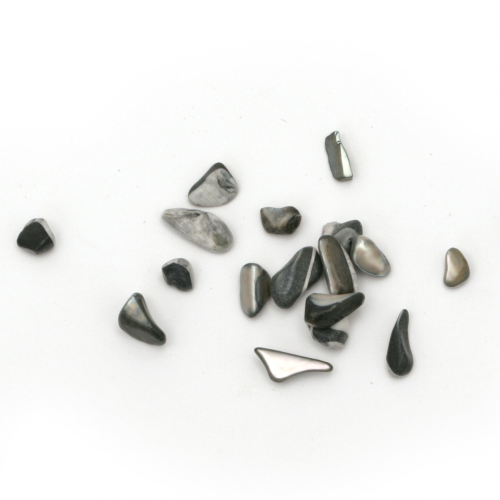Sea Shell Chip Beads, Dyed, Black 2~15x2~10x1~5 mm - 50 grams