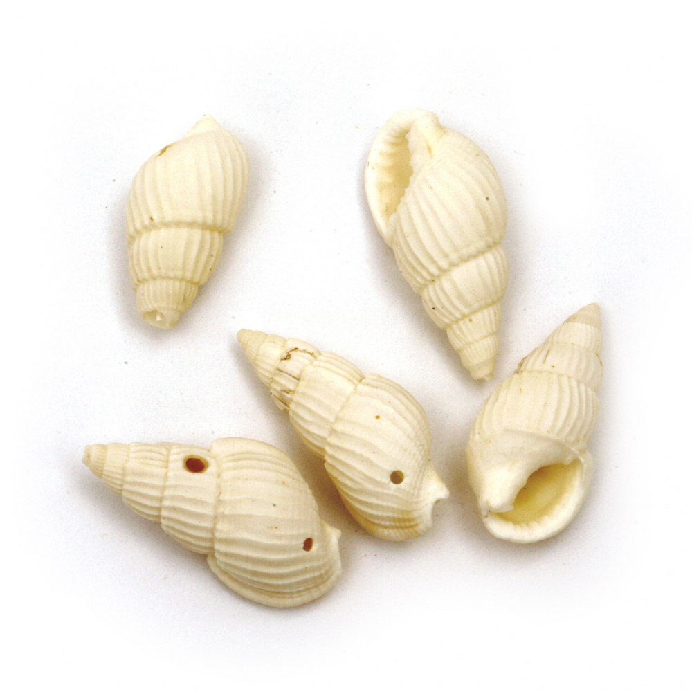 Sea Shells 21 ~ 25x11 ~ 15x10 ~ 11mm, Hole 1mm, color White ~ 50g