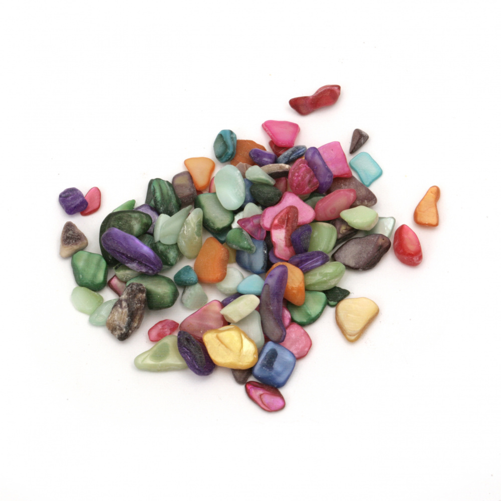Assorted Multi-colored Seashells Chips, 3 ~ 12x1 ~ 6x0.5 ~ 5mm, MIX - 50 grams