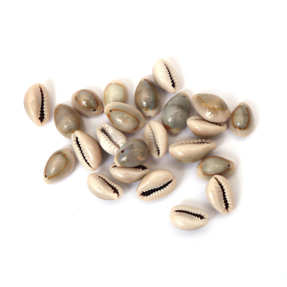 Морски раковини 9~11x14~18x7~9 мм -50 грама ~65 броя