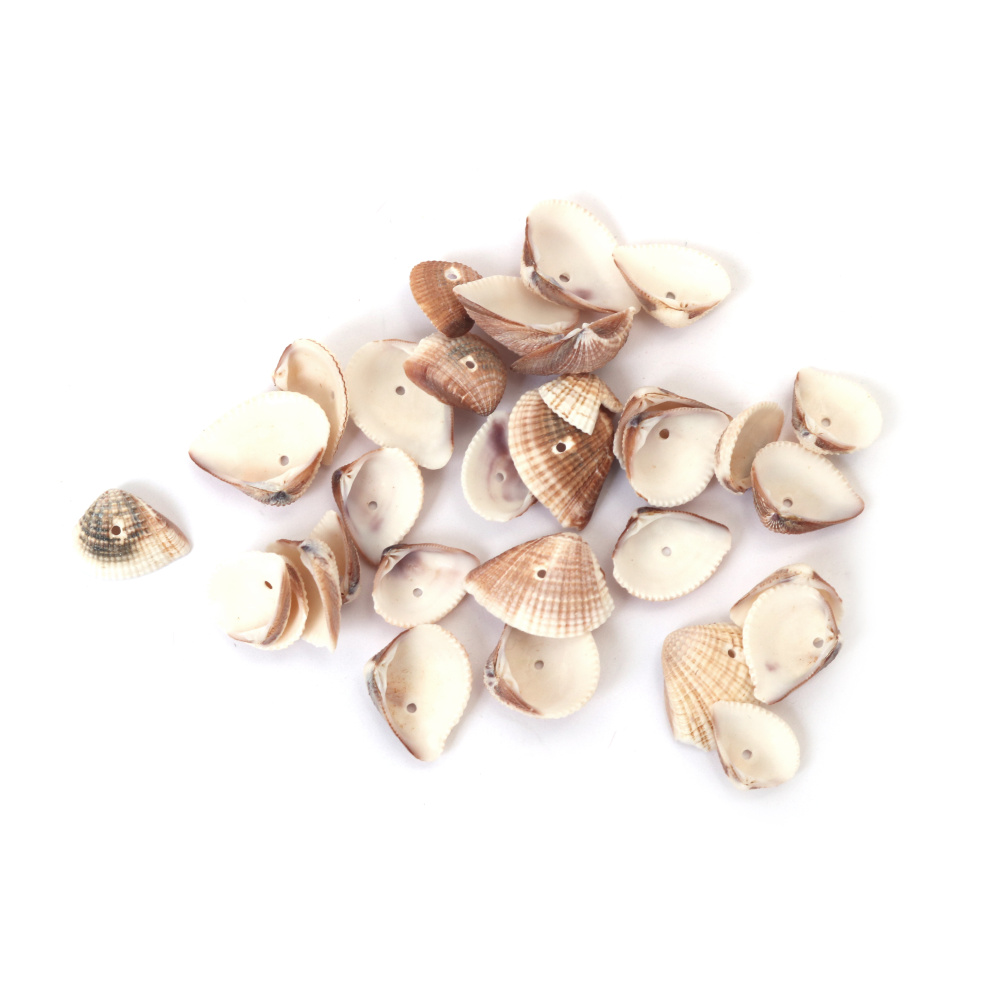Морски раковини (мида) 14~21x11~15x4~6 мм дупка 2 мм -50 грама ~85 броя