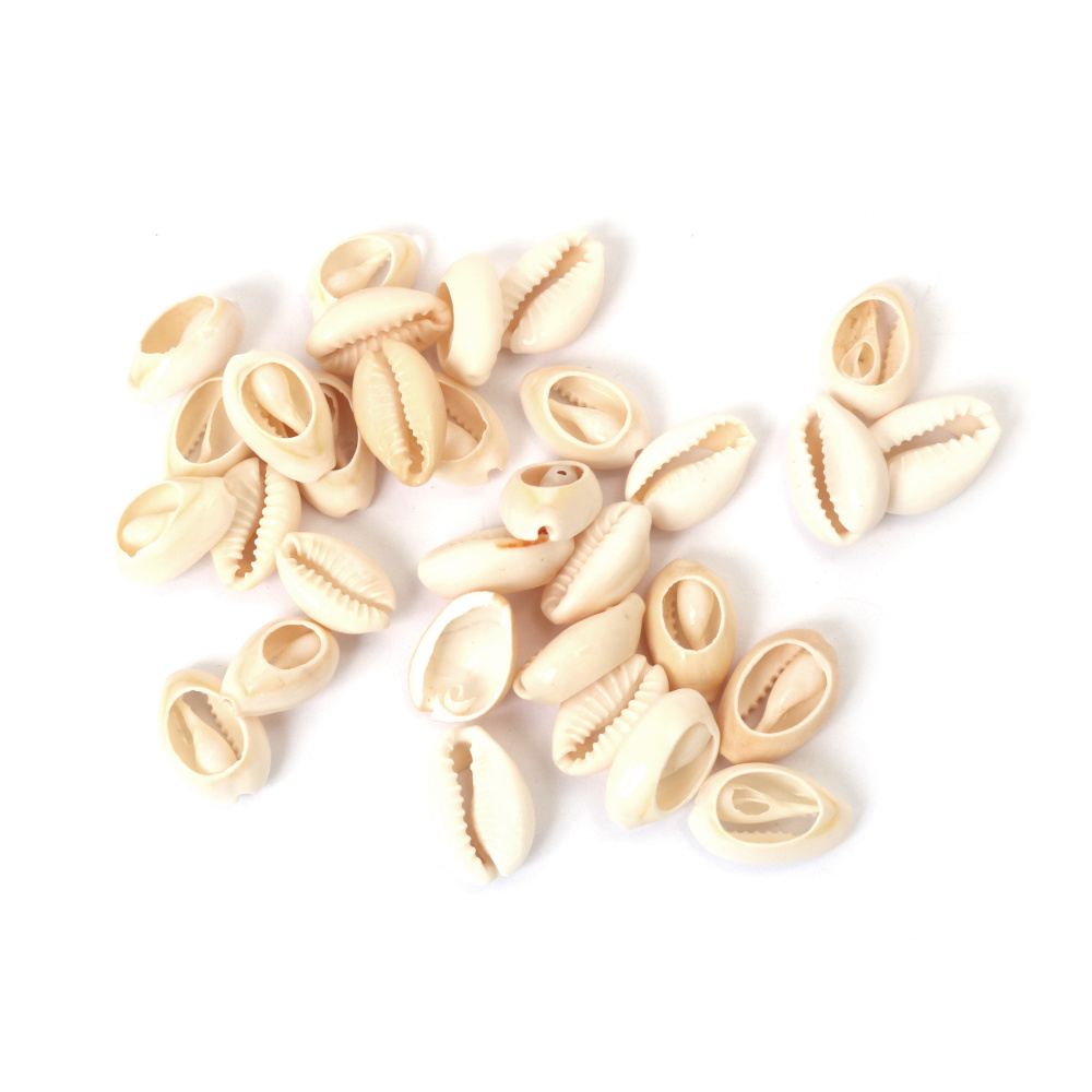 Морски раковини 12~14x19~22x7~9 мм -50 грама ~35 броя