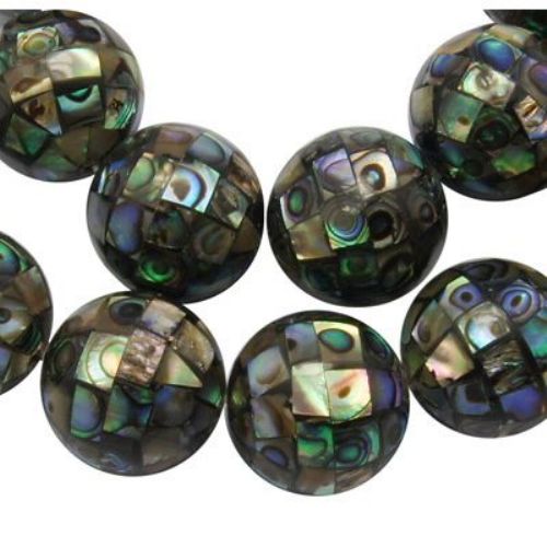 Abalone PAUA mother-of-pearl bead 15 ~ 16 mm hole 0.8 mm