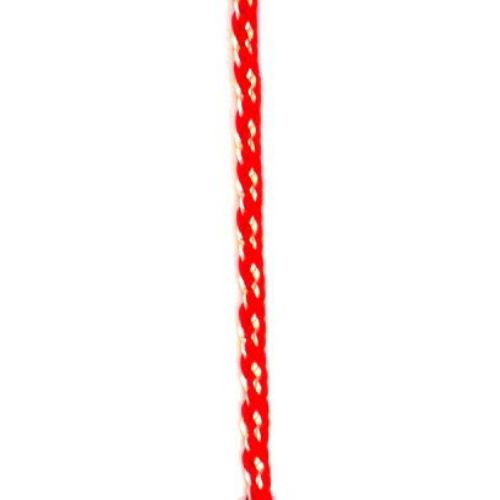 Round Lame Cord (VS 132) for BABA MARTA Day, 5 mm - 50 meters