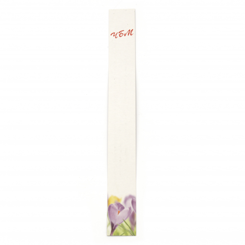Suporturi din carton de 3/23 cm colorate cu inscripție și descriere - 200 bucăți
