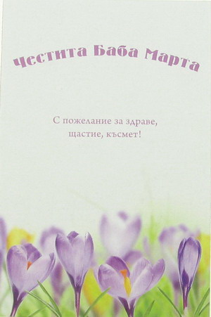 Suporturi de carton 8/12 cm colorate cu inscripție și descriere - 100 bucăți