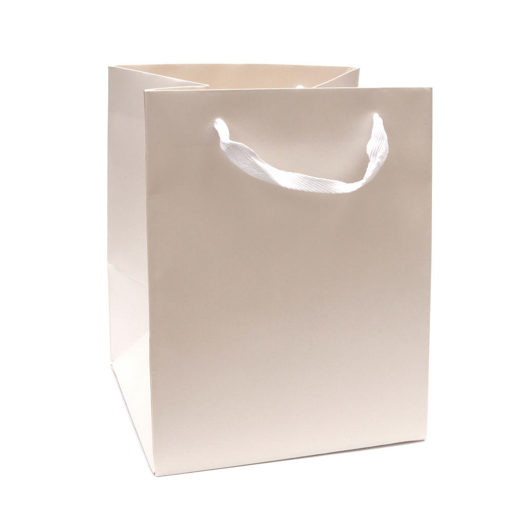 Cardboard Gift Bag / 20x18.5x25 cm / White