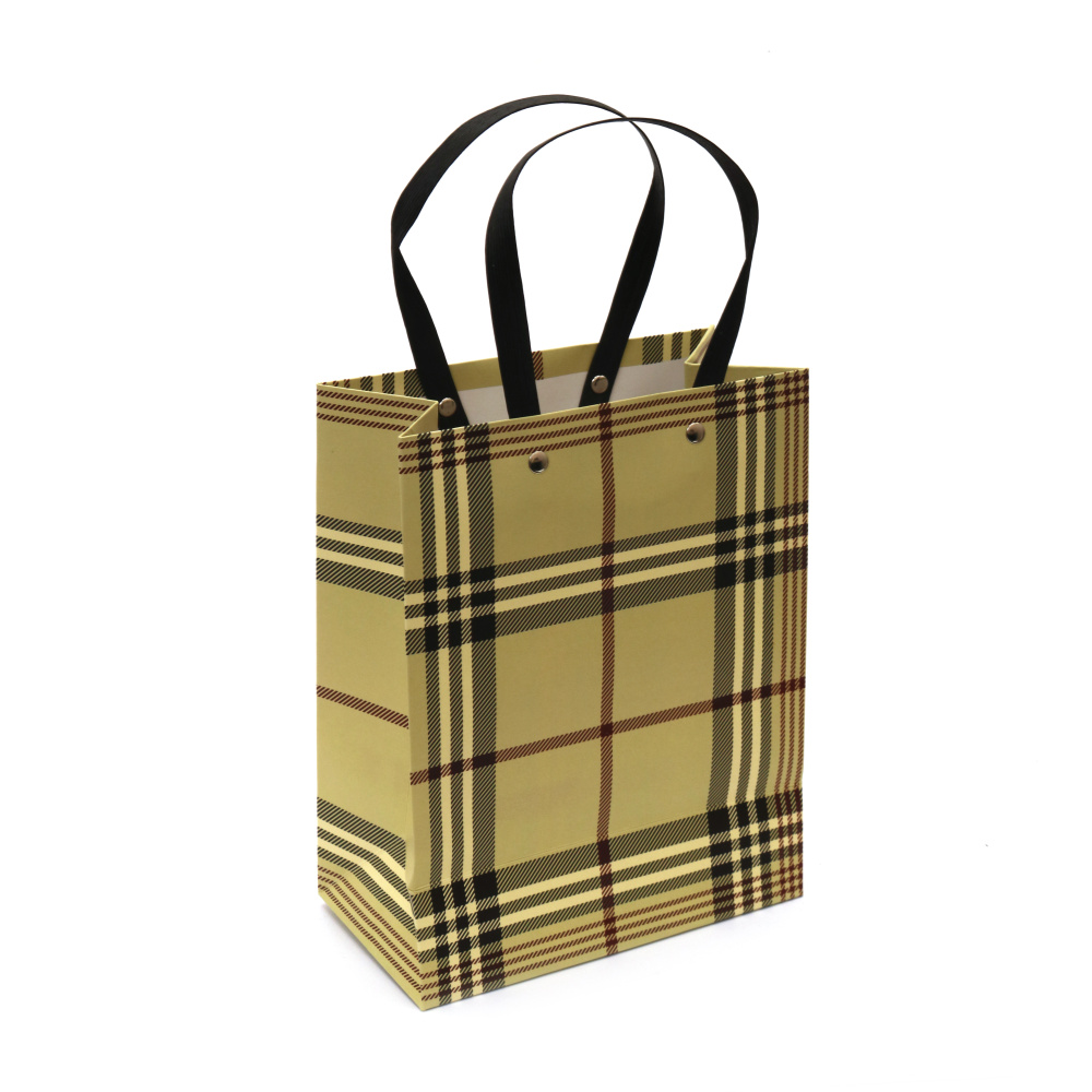 Cardboard Gift Bag with Black Handles18x23x10 cm