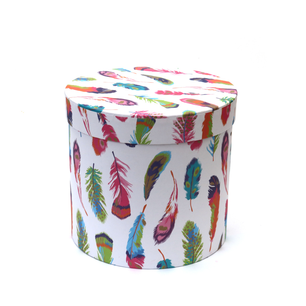 Cutie cadou 18,5x18,5x17 cm, culoare colorată cu pene colorate