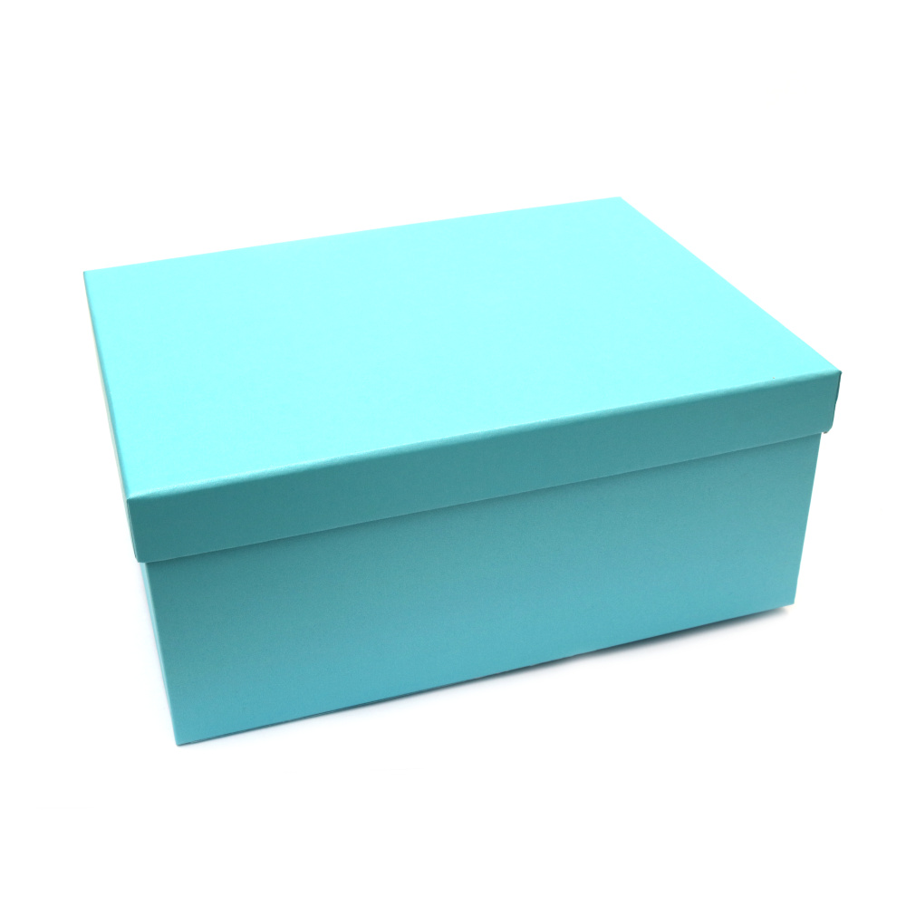 Plain Cardboard Gift Box /  21x14x8.5 cm / Light Blue