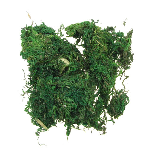 Moss for decoration 50 g