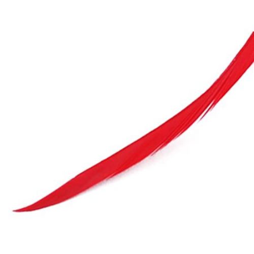 Feather for decoration 230x6 mm red - 10 pieces