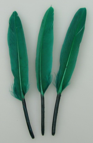 Decorative Feathers, Dark Green, 100~150x15~20 mm, 10 pieces