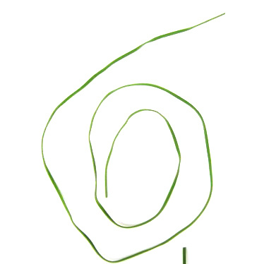 Συνθετικό σουέτ κορδόνι 2,5 mm πράσινο  -10 τεμάχια x 1 μέτρο