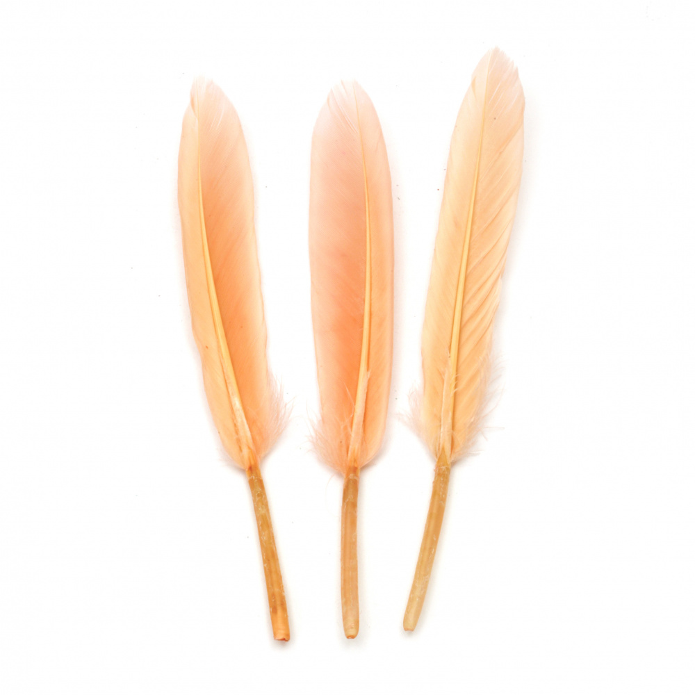 Feather 100~150x15~20 mm pink pale - 10 pieces