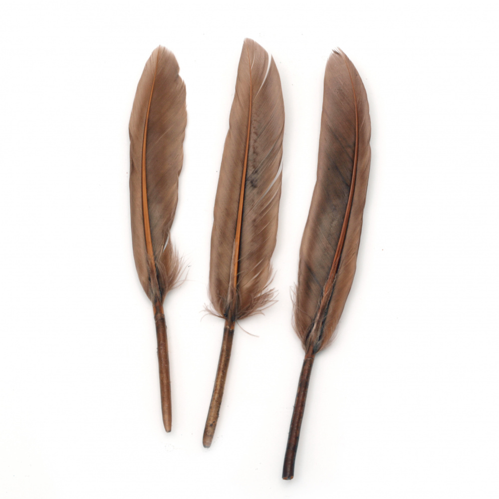 Feathers for DIY Projects / Brown /  100 ± 150 x 15 ± 20 mm - 10 pieces