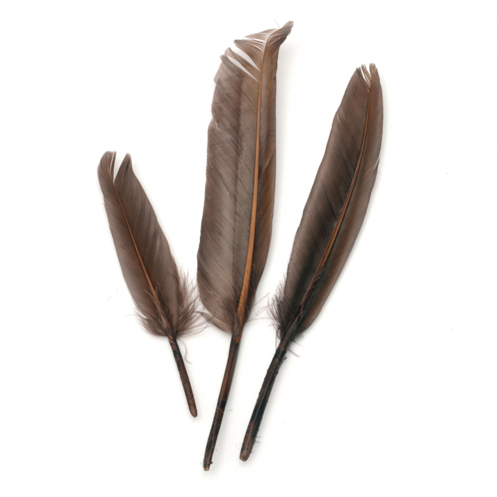 Dyed in brown feather for various decoration 100~150x15~20 mm brown - 10 pieces