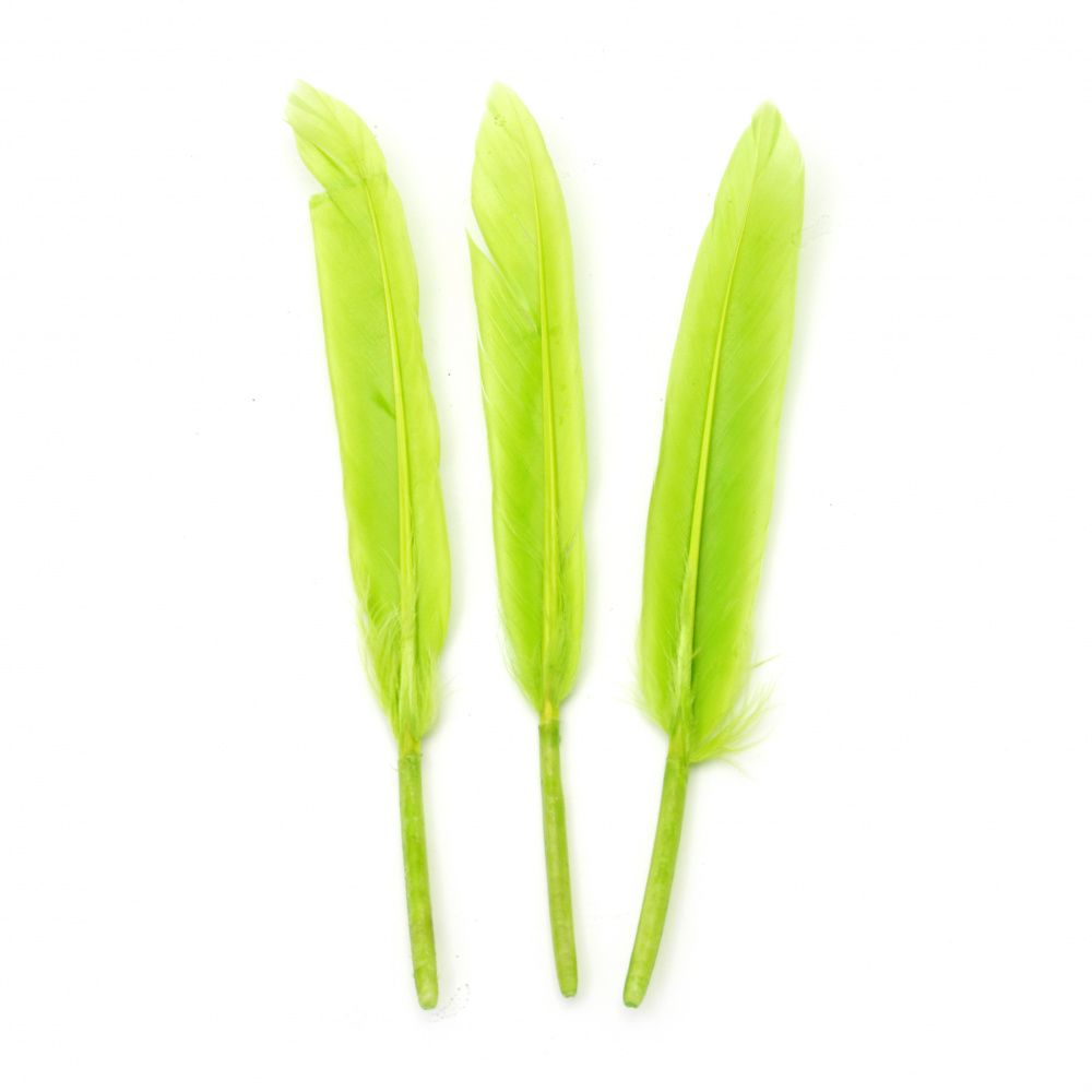 Feather  for decoration 100~150x15~20 mm color lime - 10 pieces