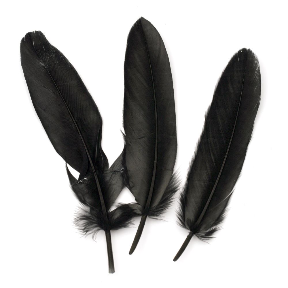 Feather for decoration 160~215x36~47 mm black - 10 pieces