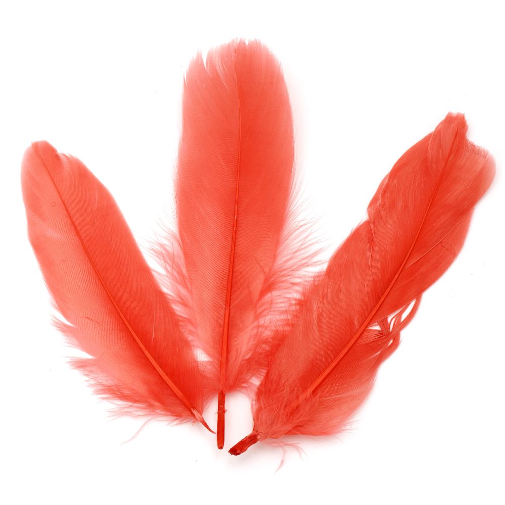 Feather for decoration 160~215x36~47 mm watermelon color - 10 pieces