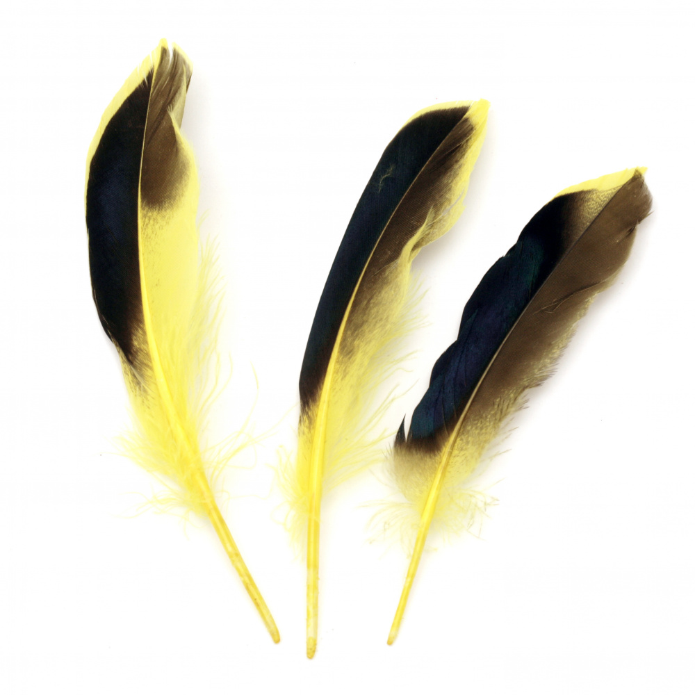 Feather for decoration 104~140x20~31 mm yellow black - 10 pieces
