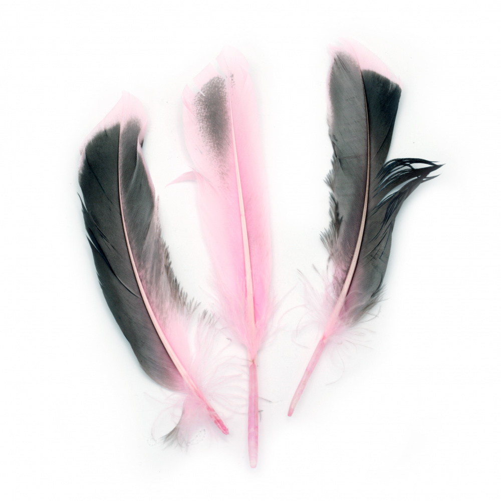 Feather for decoration 104~140x20~31 mm pink black - 10 pieces