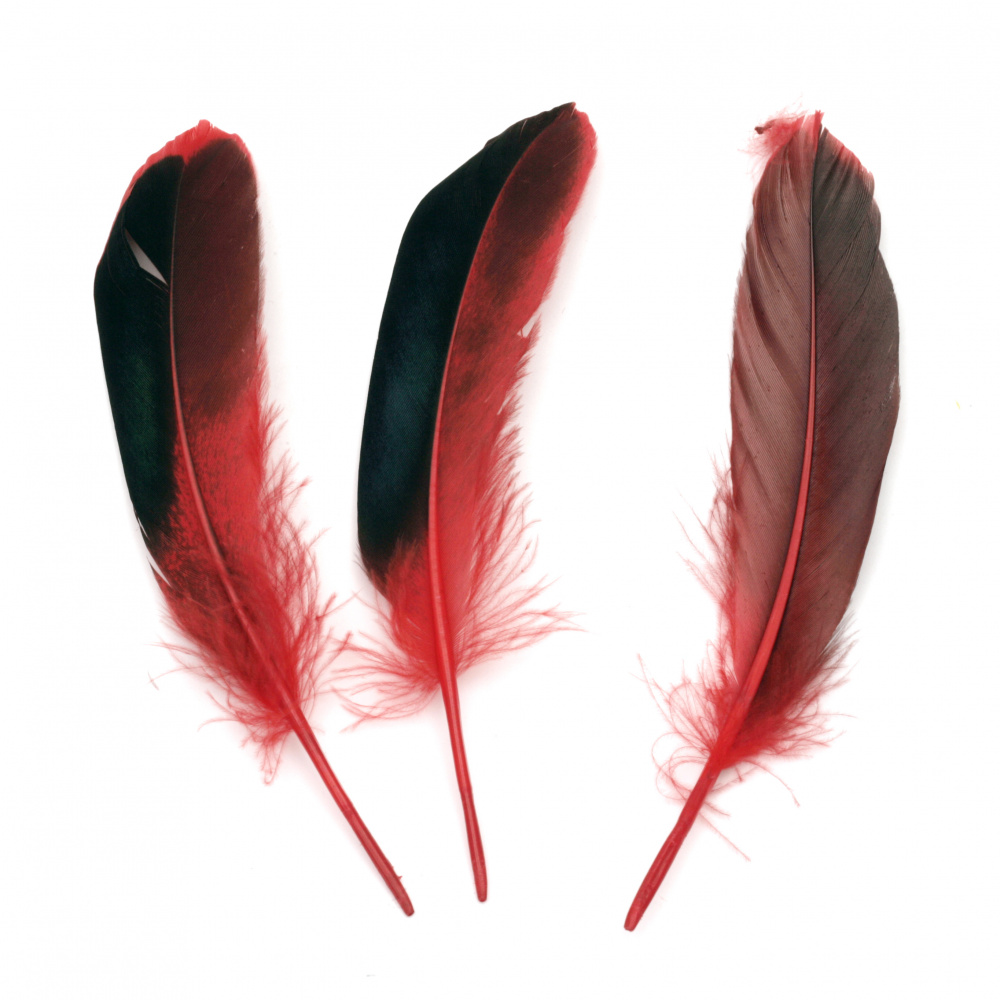 Feather for decoration 104~140x20~31 mm red black - 10 pieces