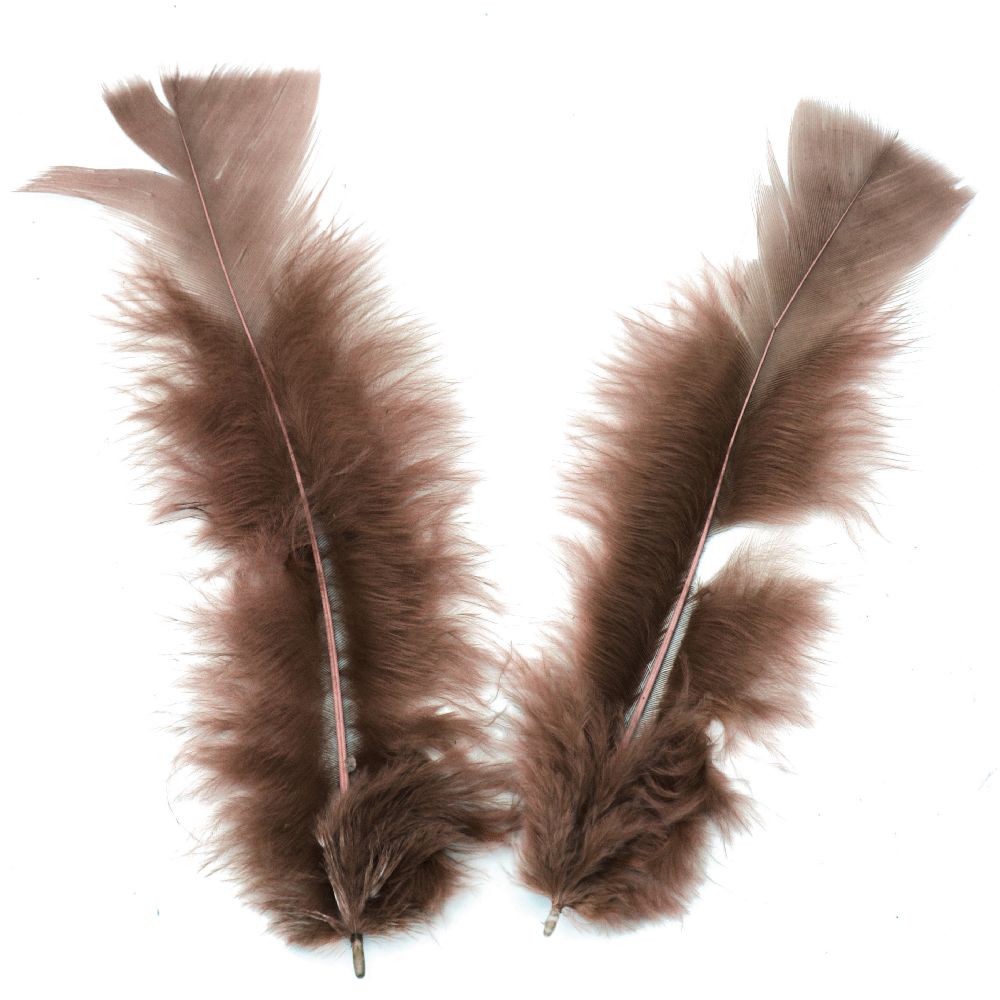 Furry feather for art decoration 120~170x35~40 mm brown - 10 pieces