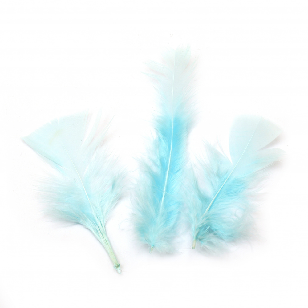 Delicate feather for various decoration 120~170x35~40 mm blue light - 10 pieces