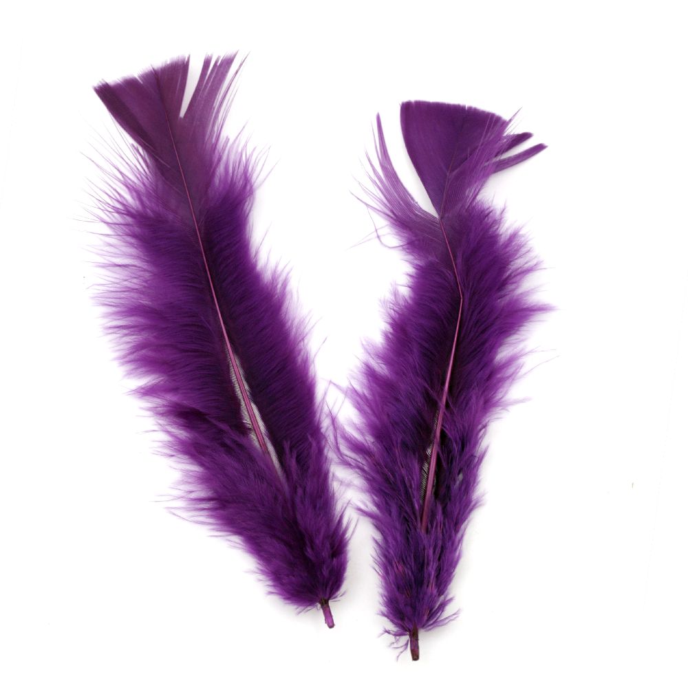 Dyed in purple feather 120~170x35~40 mm  - 10 pieces