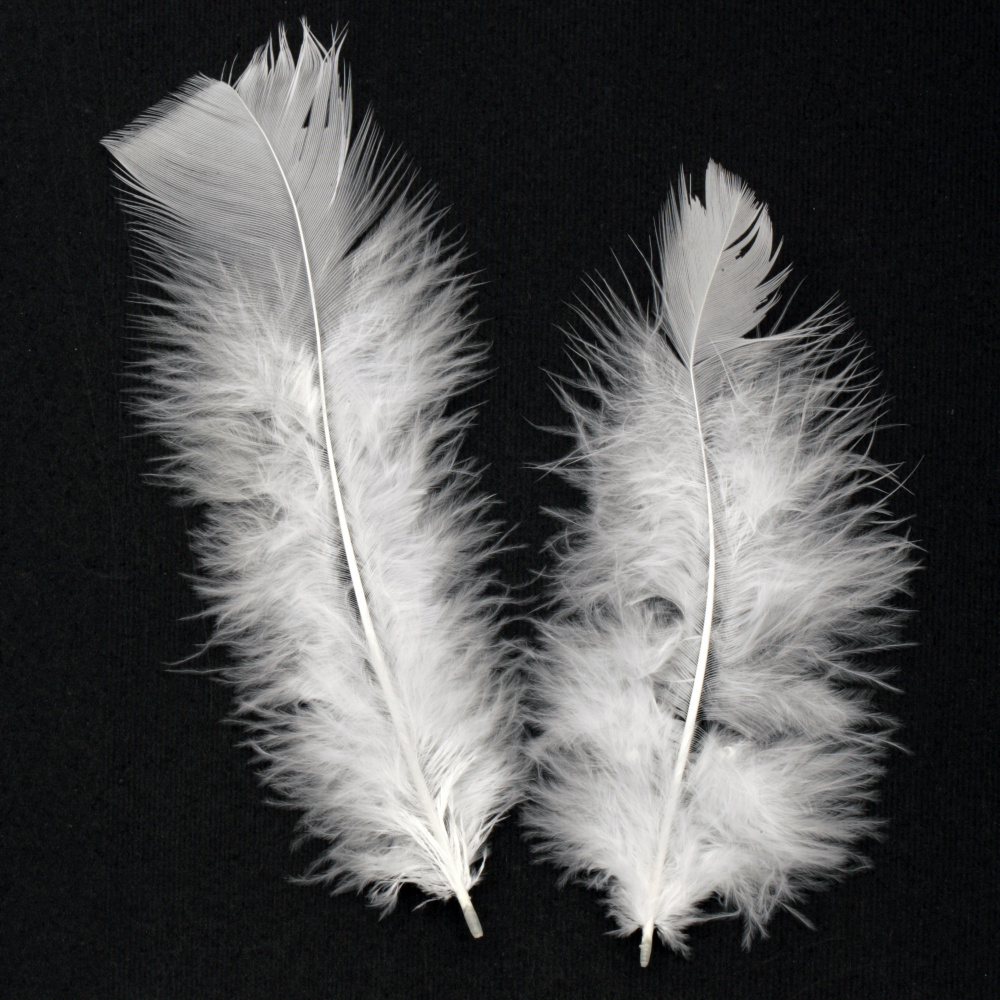 Delicate white feather for decoration 120~170x35~40 mm  - 10 pieces