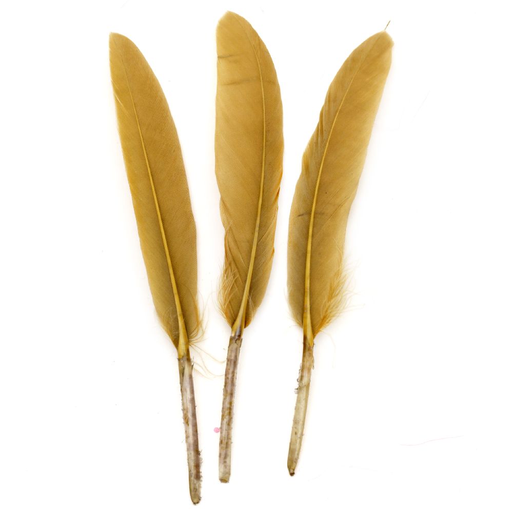 Colored Decorative Feathers / 100 ± 150 x 15 ± 20 mm / Light Ocher - 10 pieces