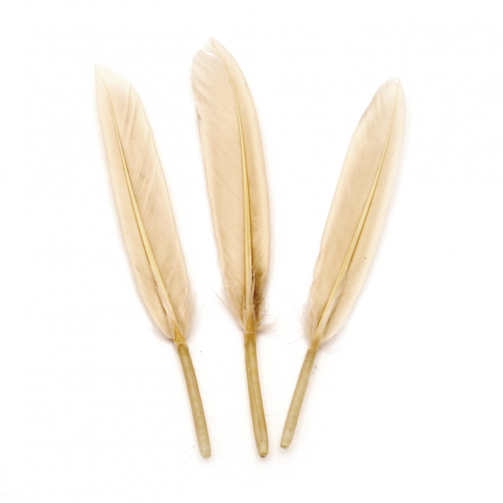 Feather  for decoration 100~ 150x15~20 mm cream - 10 pieces