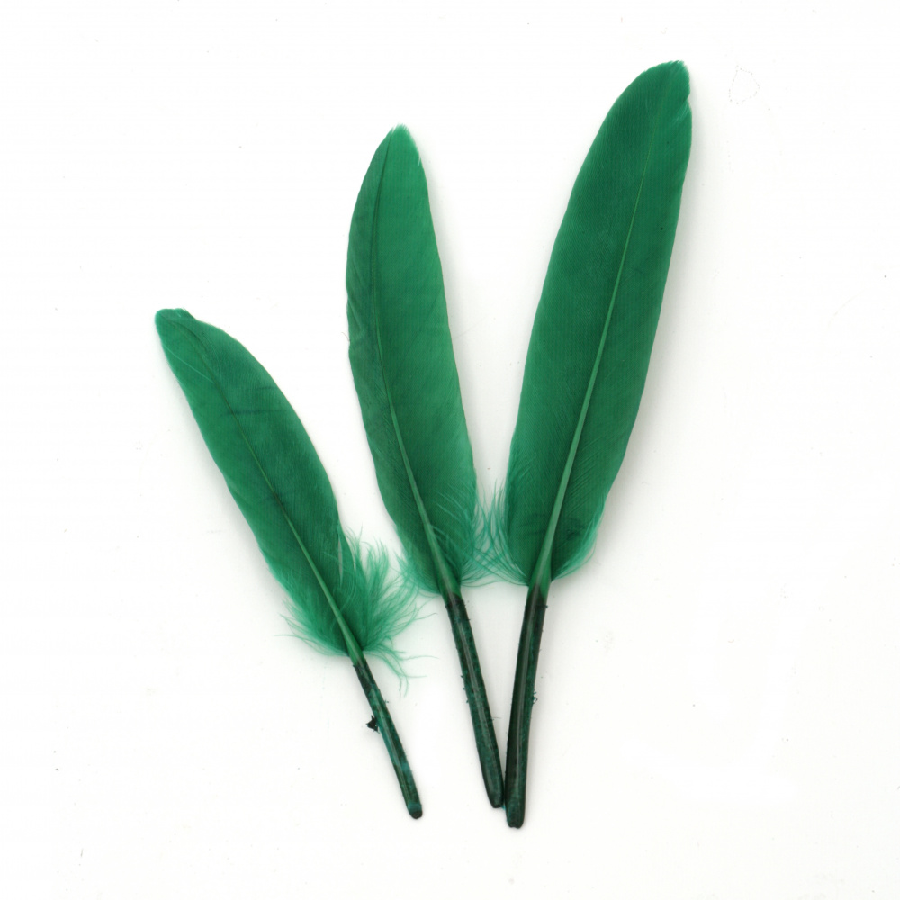 Feather  for decoration 100~150x15~20 mm green dark - 10 pieces