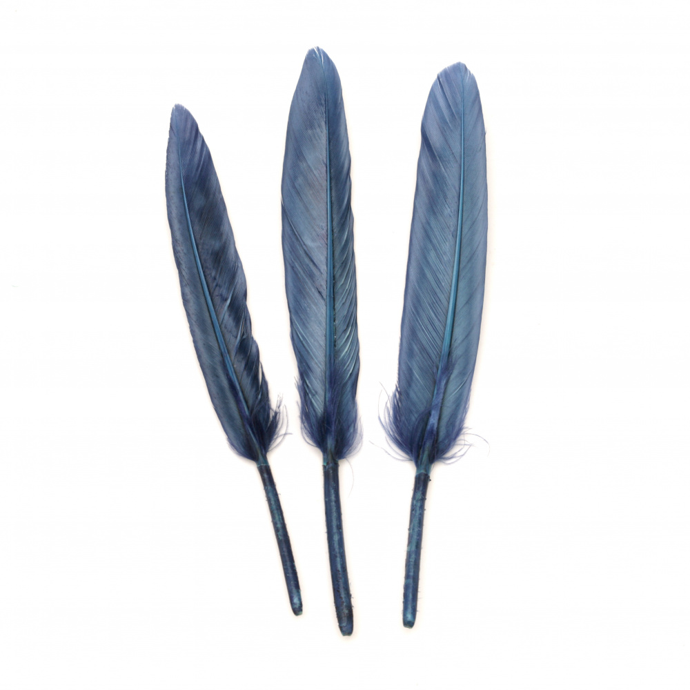 Feathers for DIY Carnival Costumes, Masks, Party Decoration / 100 ± 150 x 15 ± 20 mm / Dark Blue - 10 pieces