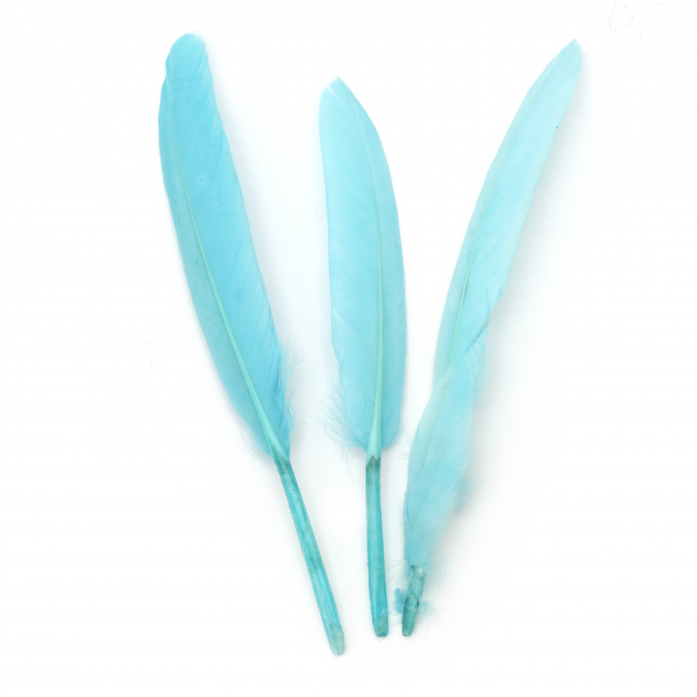Colored Feathers for Craft and Art / 100 ± 150 x 15 ± 20 mm / Light Blue - 10 pieces