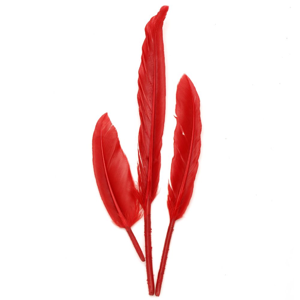 Feather for decoration 100~150x15~20 mm red - 10 pieces