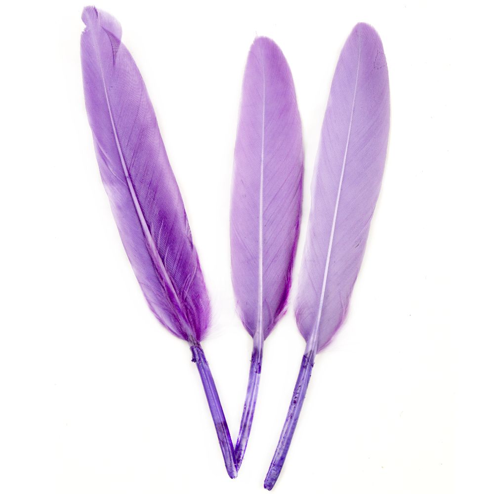 Feathers for Decoration, Violet, 150~200 mm - Pack of 10