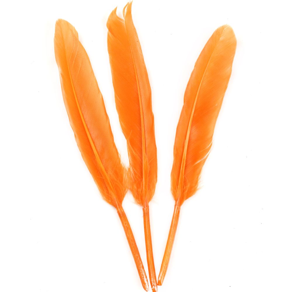 Feather  for decoration 100~150x15~20 mm orange - 10 pieces