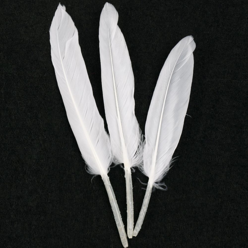 Feather  for decoration 100~150x15 ~20 mm white - 10 pieces