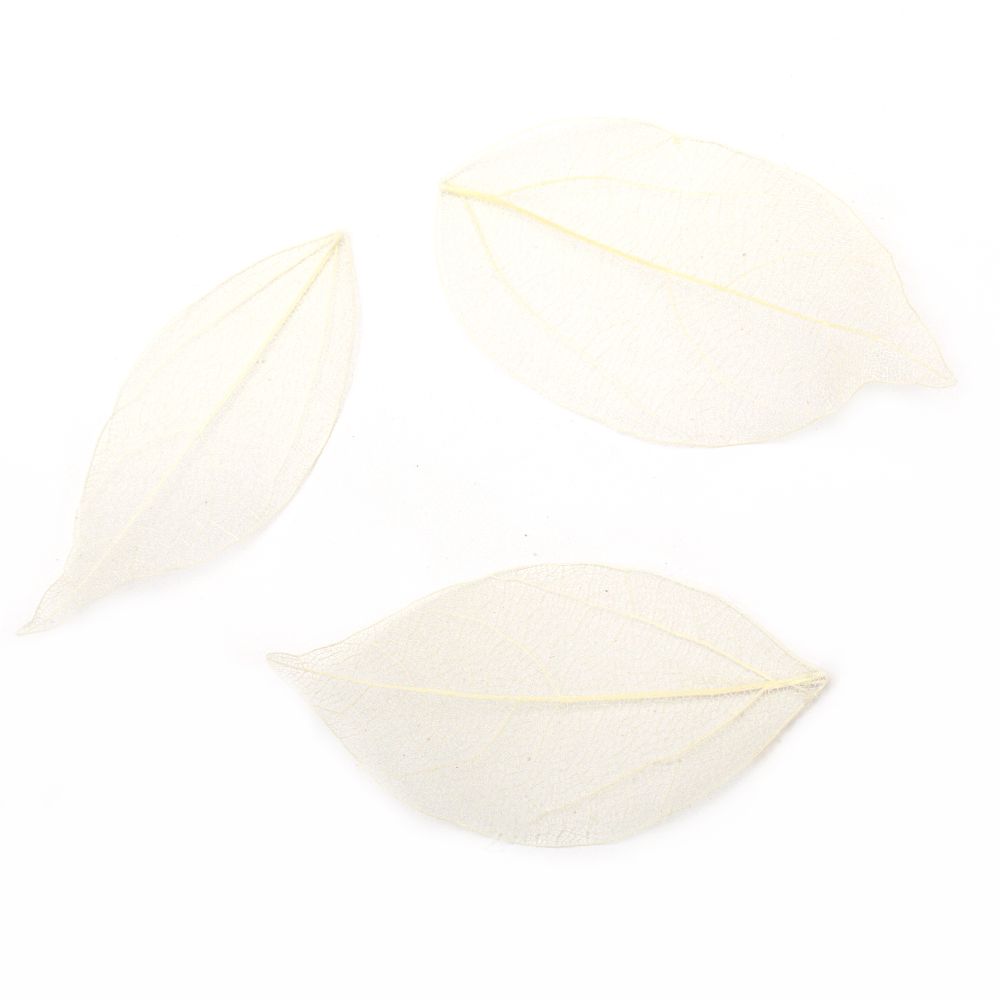 Skeletal leaves 60x20 ~ 90x45 mm for decoration color cream -20 pieces