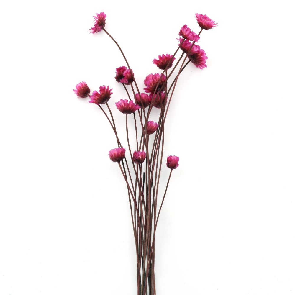 Bouquet of dried flowers for decoration color pink ± 53 pieces