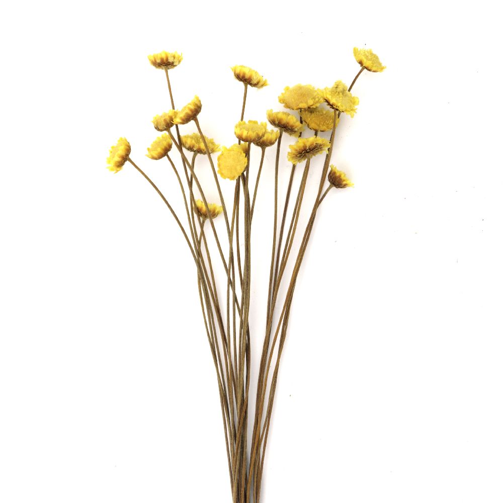 Букет сухи цветя за декорация цвят жълто ±21 броя