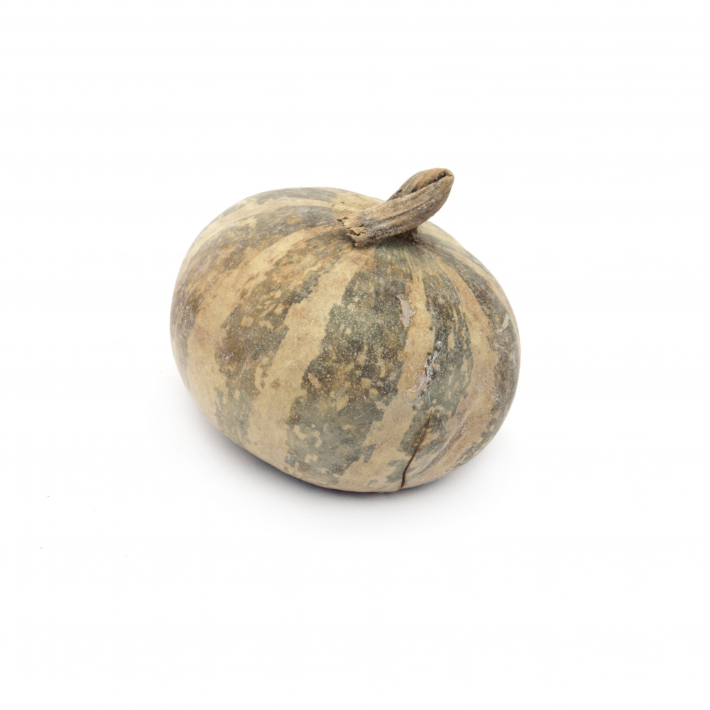 Decorative wooden Gourd 40 ~ 55 mm with hole