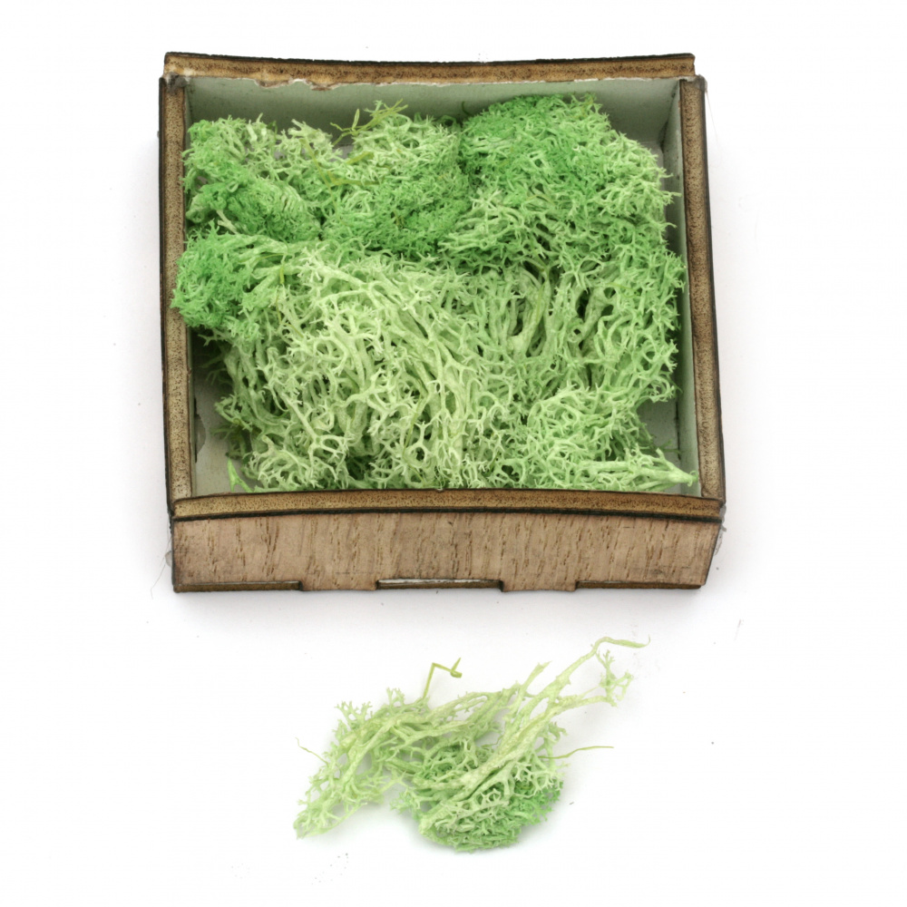 Βρύα polar moss για μακέτες και διακόσμηση, ανοιχτό πράσινο -10 γραμμάρια