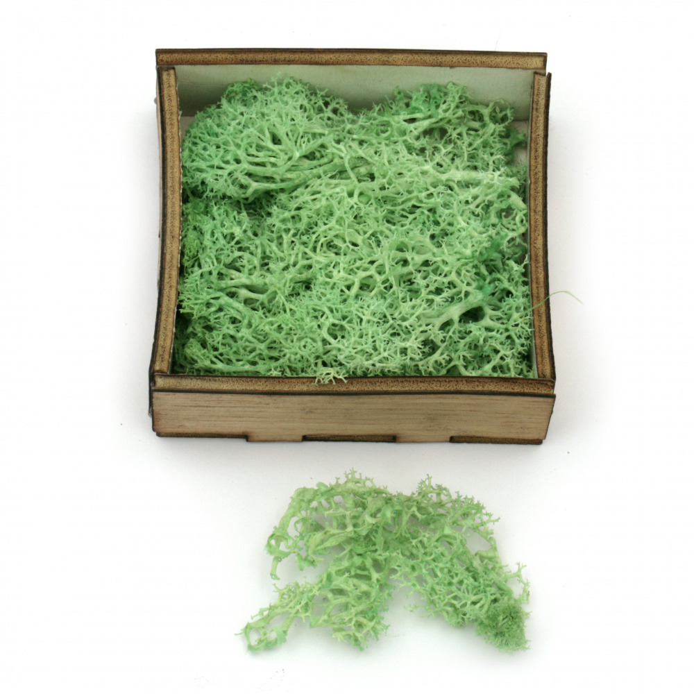 Scandinavian polar moss for decoration,  green - 10 grams