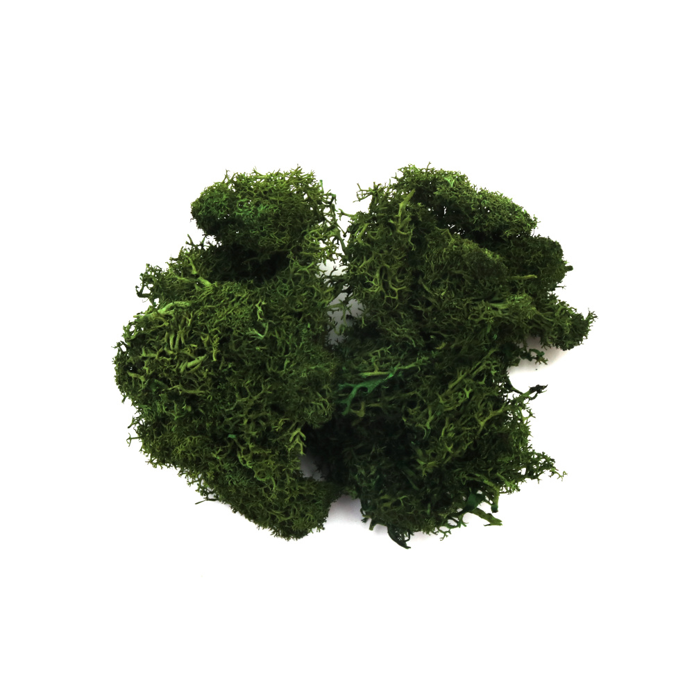 Scandinavian polar moss for decoration,  dark green - 10 grams