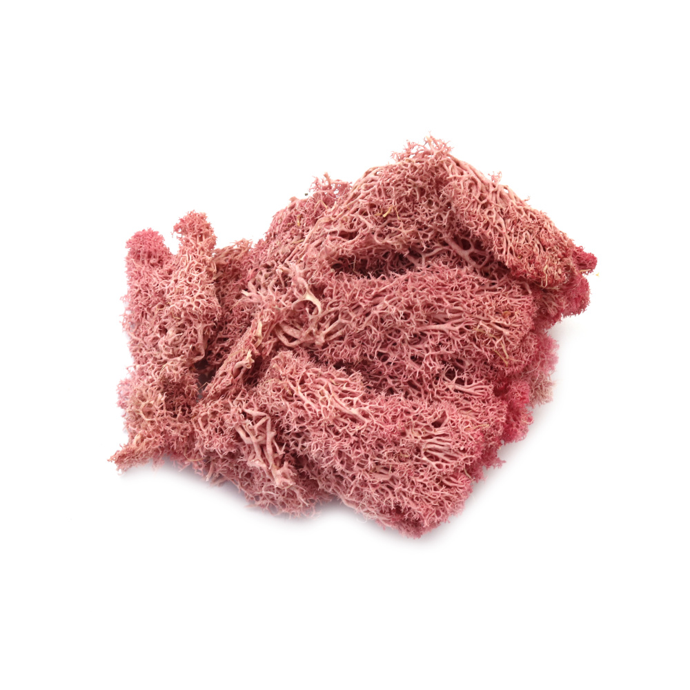 Scandinavian polar moss for decoration,  pink - 10 grams
